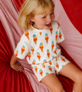 ice cream corn set
