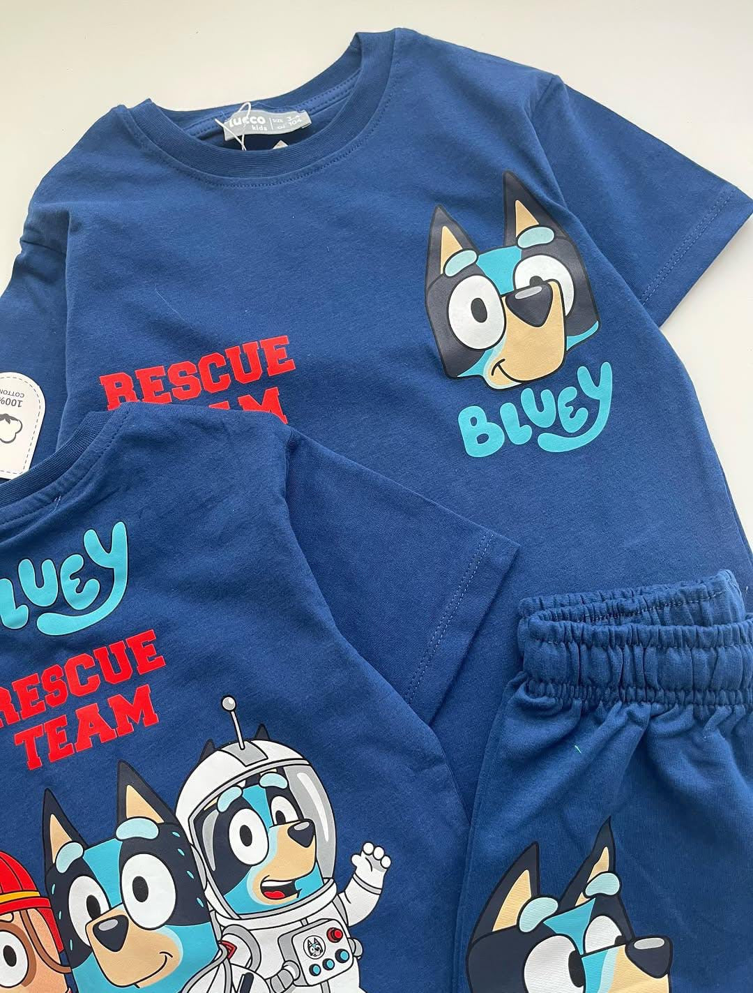 Bluey Rescue Team set
