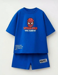 spider - man blue set