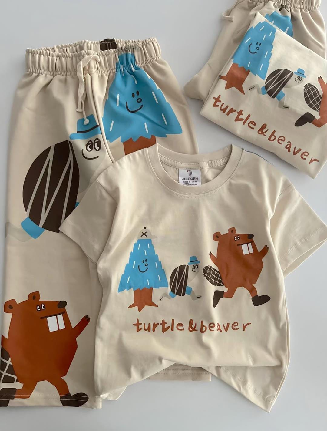 Turtle and beaver set