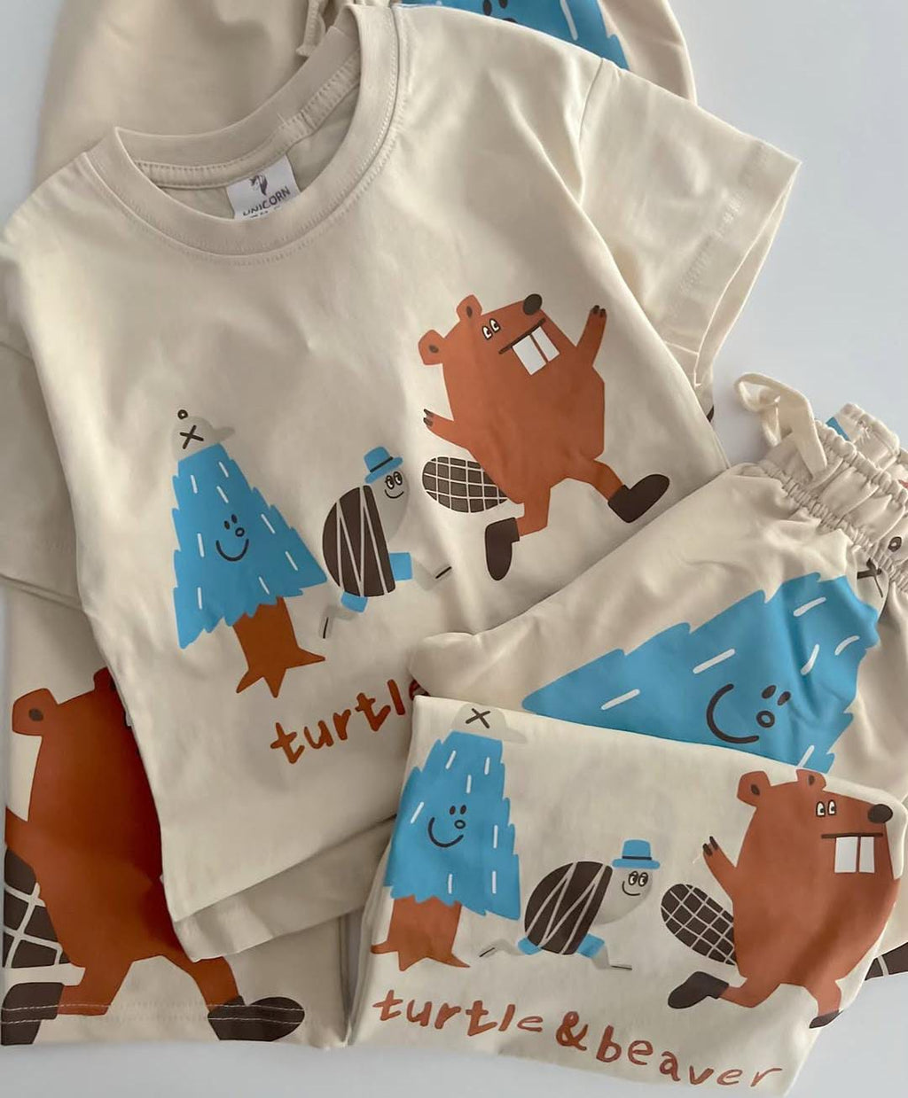 Turtle and beaver set
