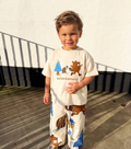 Turtle and beaver set