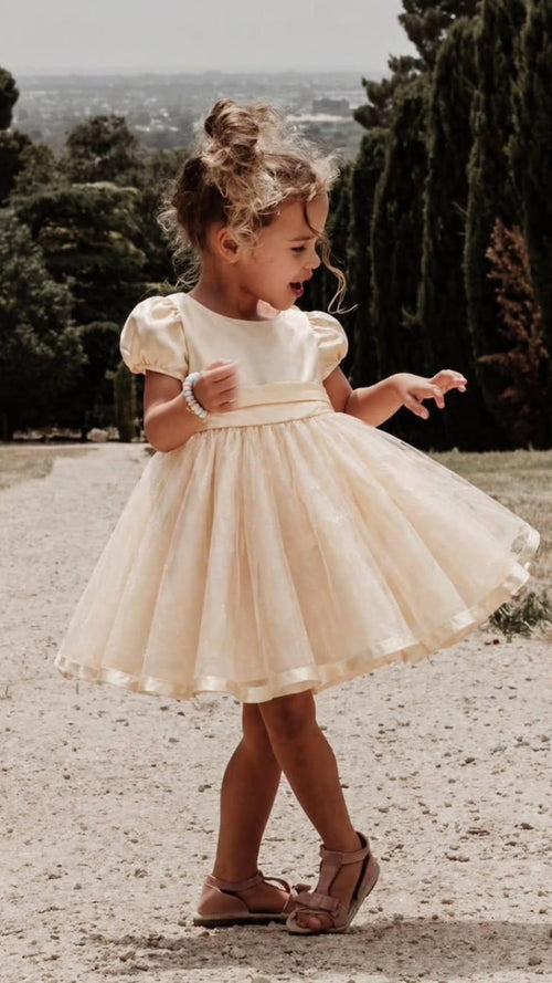 Beige Gold Sparkle Occasion Dress