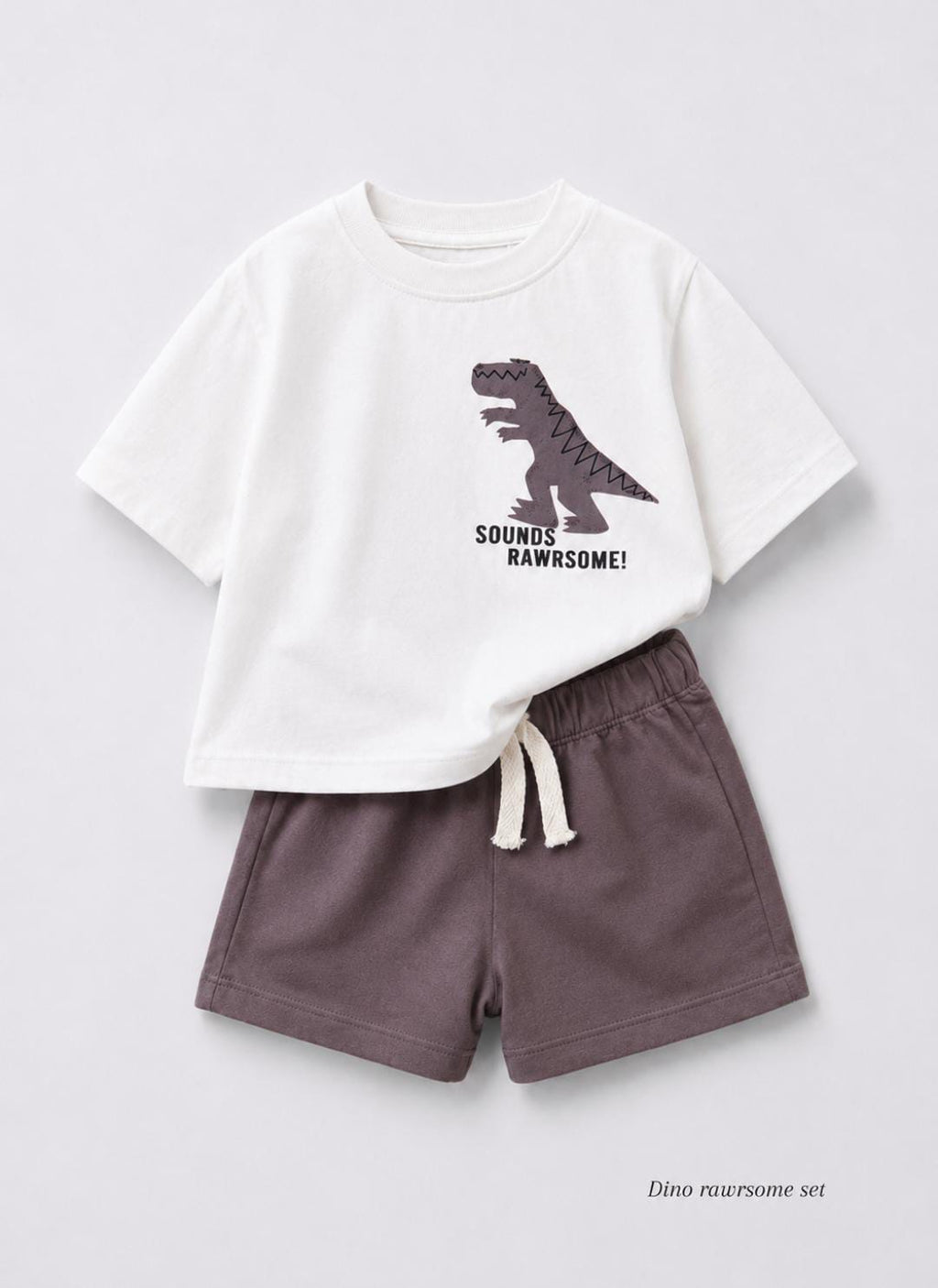 Dino rawsome browni set