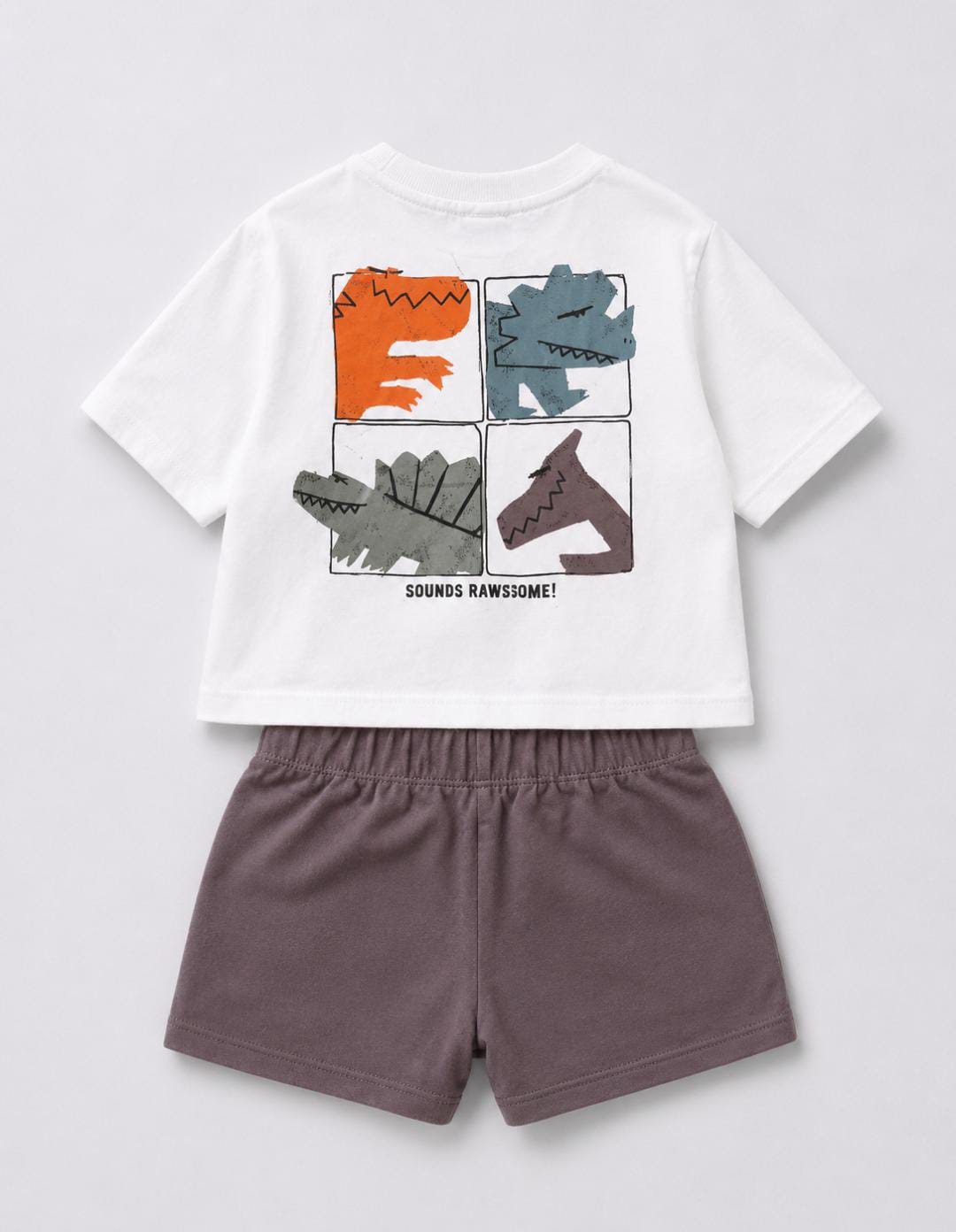 Dino rawsome browni set
