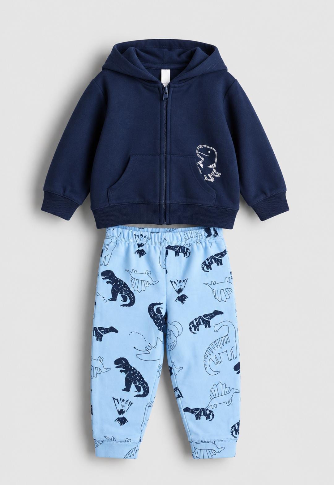 Dino Hoodie & Jogger Set