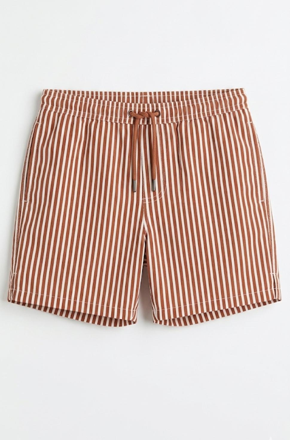 Zara Striped Drawstring Swim Shorts