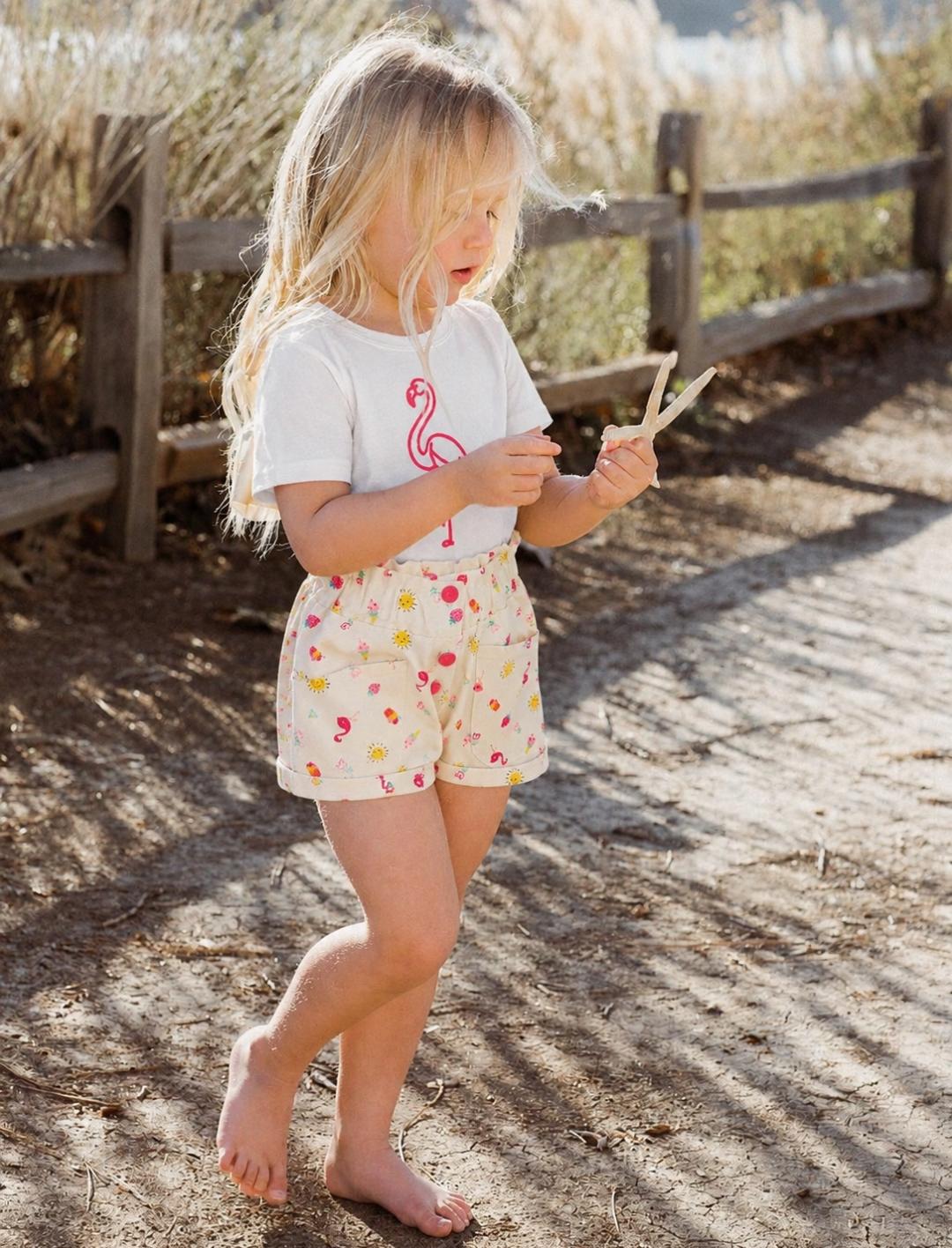 Flamingo summer set